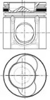WILMINK GROUP wg1175841 -  Поршень